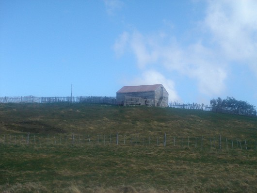 DSC02707
