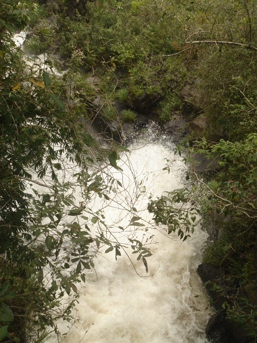 DSC02299