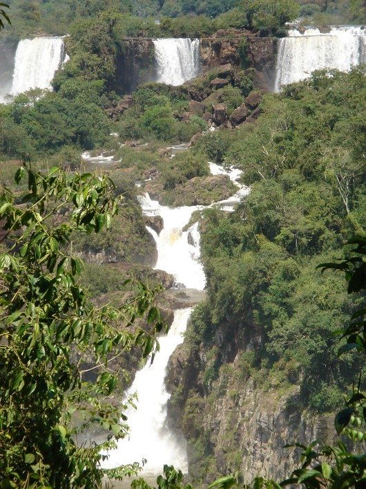 DSC02408