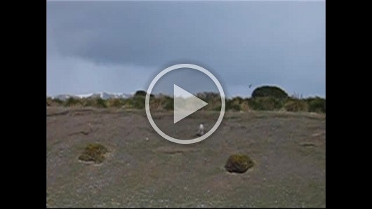 Argentina_0106
