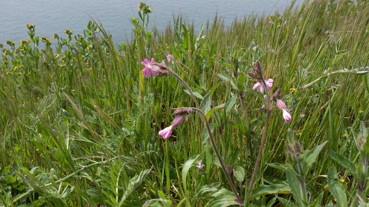P1000868