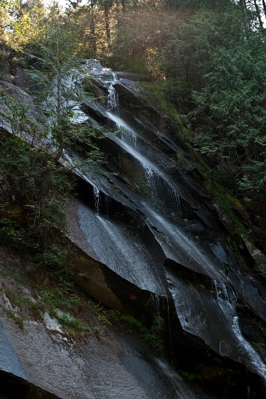 DSC_1313