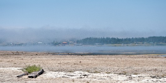 DSC_1327