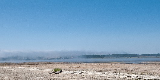 DSC_1328