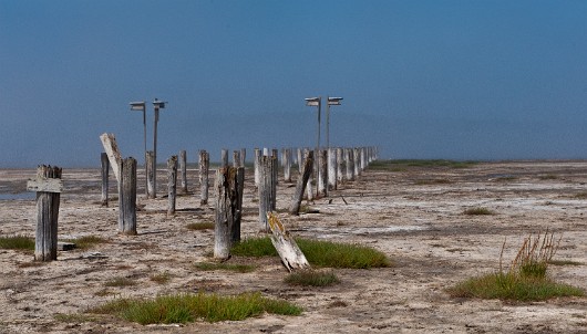 DSC_1333