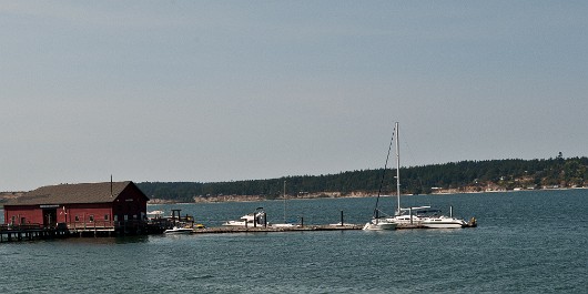 DSC_1352