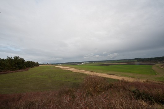 DSC_5765
