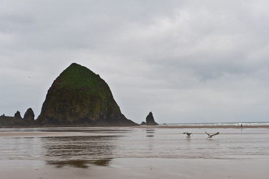 DSC_6066
