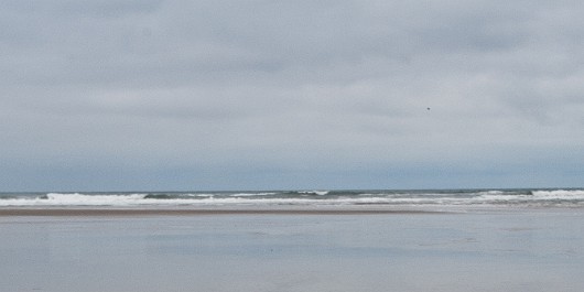 DSC_6070