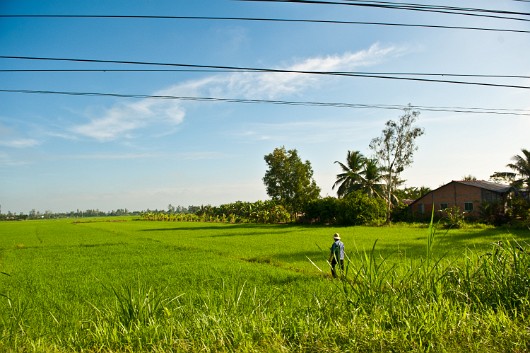 DSC_7679