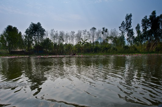 DSC_8761