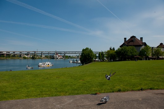 DSC_4206