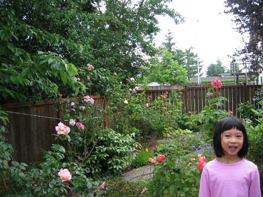 Picture 009