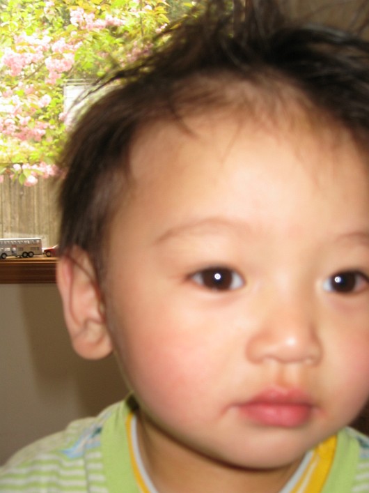 Picture 098