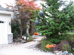 Vi's Halloween 2005