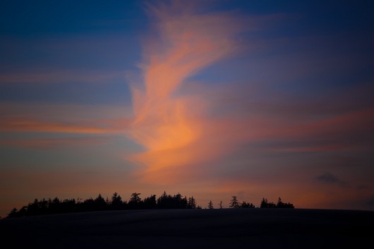 DSC_5693