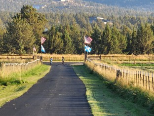 McColl Meadows