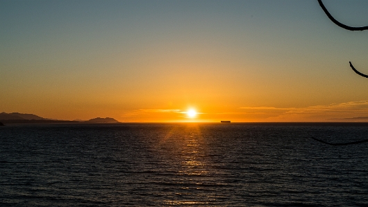 DSC00613-1