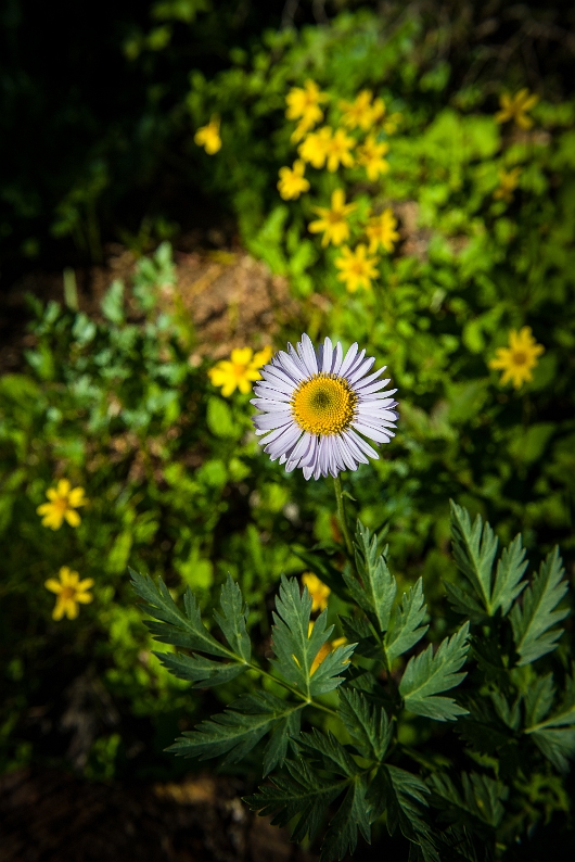 DSC_0151-1