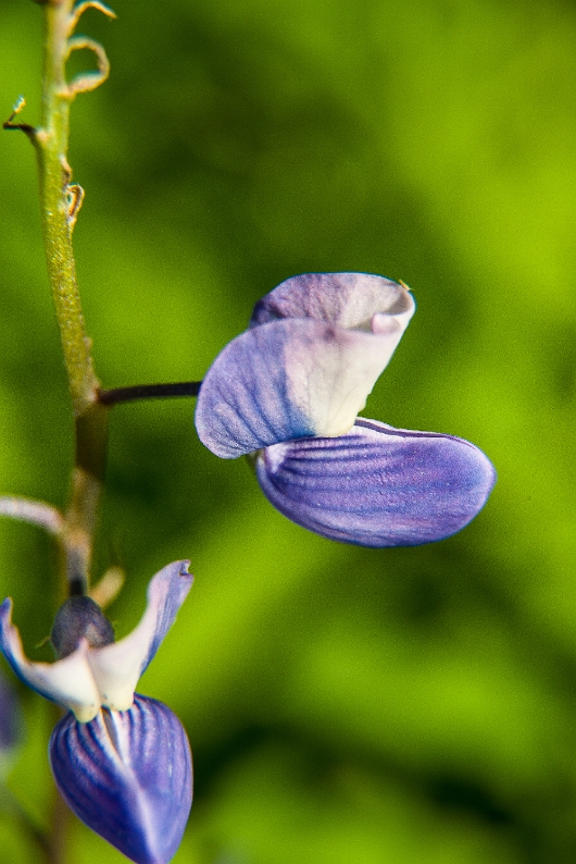 DSC_0171-1