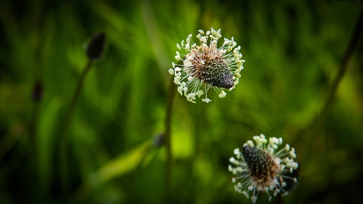 DSC_6372-1