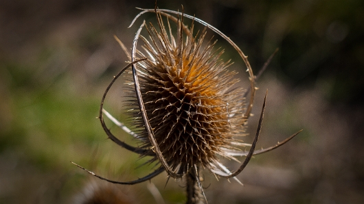 P1000835-1