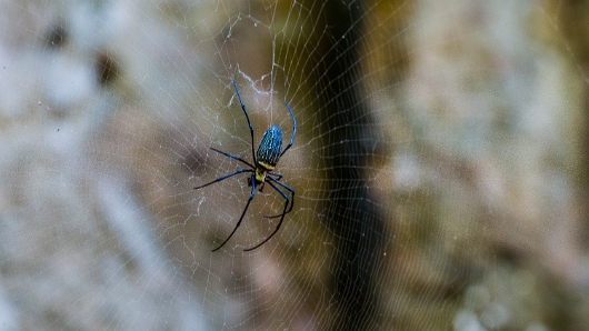 DSC_2880-1