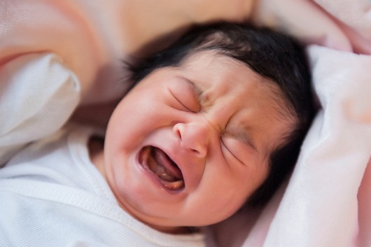 fernandobaby2013-2111