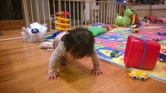 WP_20141105_06_23_09_Pro