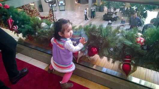 WP_20141130_11_45_57_Pro