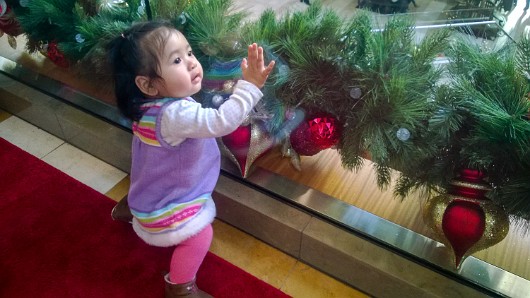 WP_20141130_11_46_17_Pro