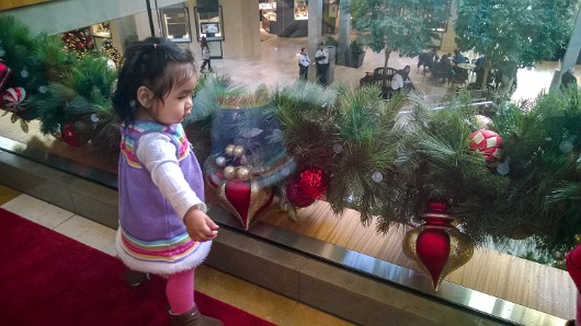 WP_20141130_11_47_09_Pro