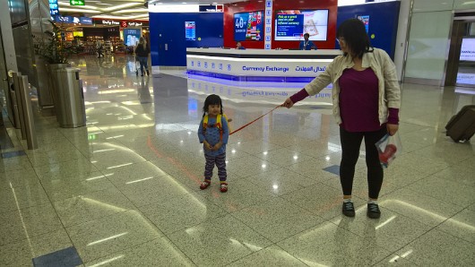 WP_20160414_11_01_41_Rich