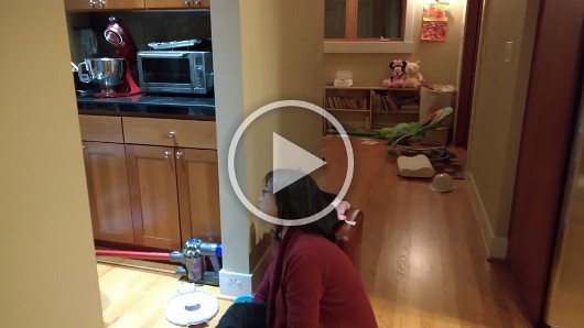 WP_20161106_18_26_28_Pro