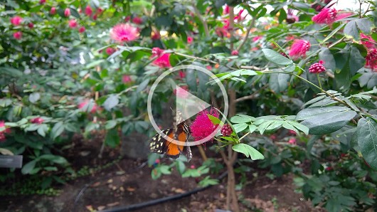 WP_20161119_10_38_31_Pro