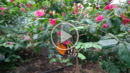 WP_20161119_10_38_35_Pro