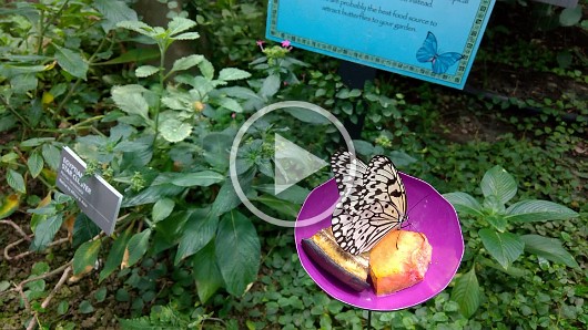 WP_20161119_10_38_45_Pro