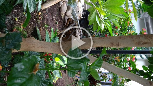 WP_20161119_10_40_18_Pro