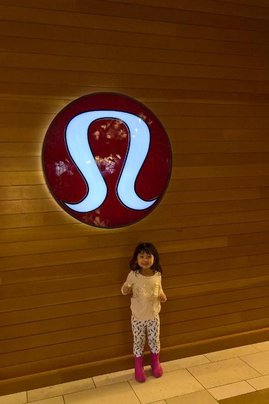 WP_20161112_10_25_43_Pro