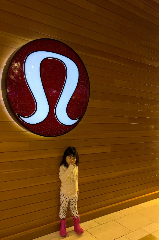 WP_20161112_10_25_56_Pro