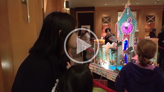 WP_20161203_10_03_46_Pro