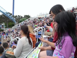 Month 42 (Sea World) Videos