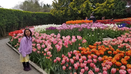 20190503_114535 JKJK ü   ¨Ö ø³                             } ±     ¿® ß¹ iÿÿÝÿÿ¾Æÿÿ ª¨ÿÿ»  ÞÿÿhÝ       ...