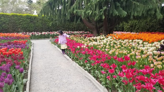 20190503_114807 JKJK ü   ¨Ö ø³                             Ò bDó    N½ Çº DhÿÿõÜÿÿUÆÿÿ9 r¨ÿÿy  Öÿÿ±Þ !