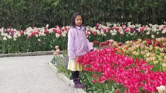 20190503_114814 JKJK ü   ¨Ö ø³      ·  ·                     Ê eò    8· ·º XhÿÿñÜÿÿXÆÿÿ* ~¨ÿÿ  ïÿÿÞ !