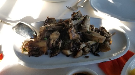 20190601_183501 JKJK0 ü   ¨Ö ø³      t  t                      Ñ Pü    ¿ Ö³ §nÿÿÝÿÿyÉÿÿj ªÿÿk  À$ÿÿÔÔ 1