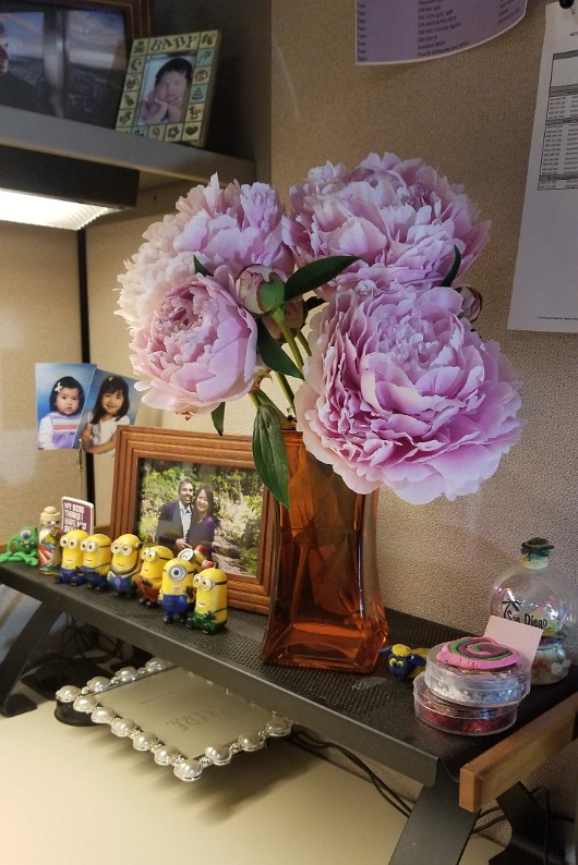 20190603_064638_001 JKJK0 ü   ¨Ö ø³     T  T                     Á  RJ    Jý  A~ÿÿ;öÿÿ¸Âÿÿól UÐÿÿe...