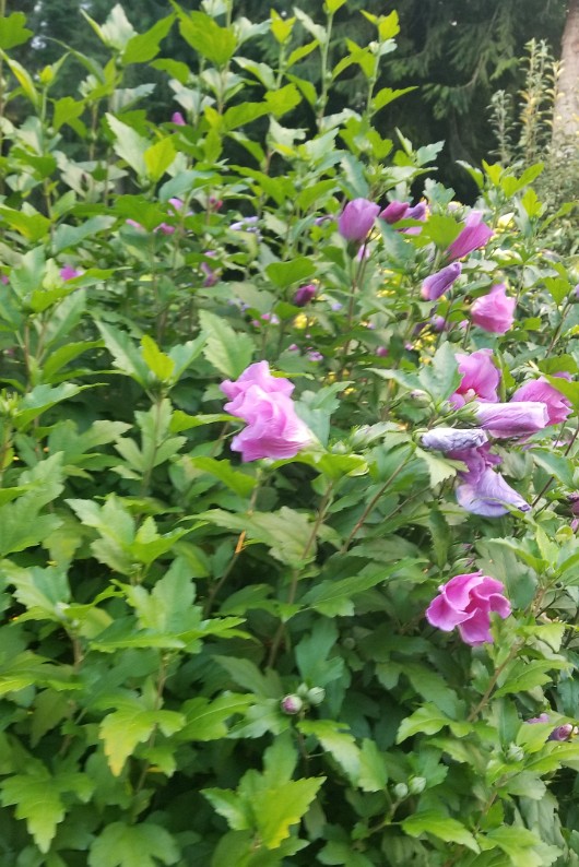 20190901_192006 JKJK0 ü   ¨Ö ø³     D  D                      © L?       _   Ì  ë  Y   u   6   é                 M  ÷ÿÿÿ   .       K                     õ...