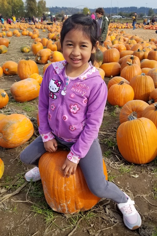 20191012_131924 JKJK0 ü   ¨Ö ø³      ©  ©                      ² ¤ð    :° º rhÿÿþÜÿÿkÆÿÿ ¨ÿÿ   ÿÿjÞ 