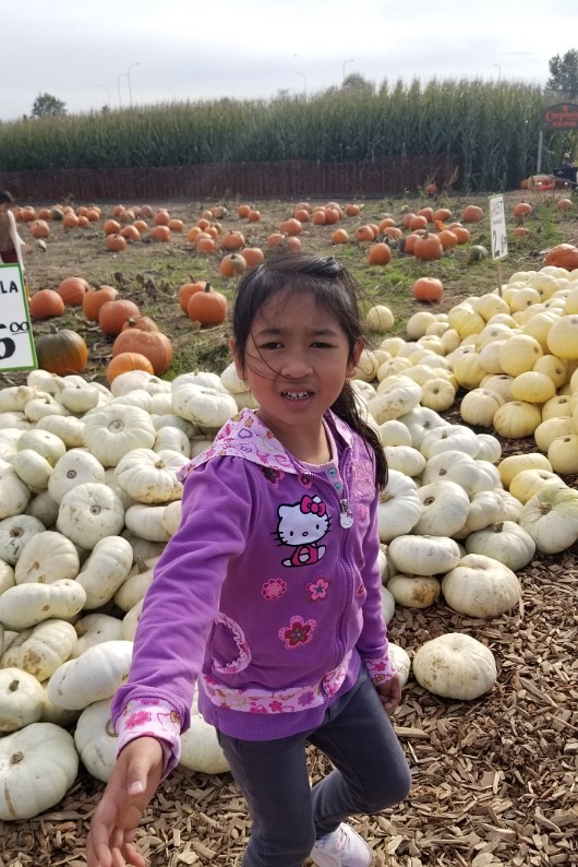 20191012_131952 JKJK0 ü   ¨Ö ø³      8  8                      Ð­û    ³ {º hÿÿûÜÿÿrÆÿÿ ¨ÿÿ  'ÿÿLÞ      @